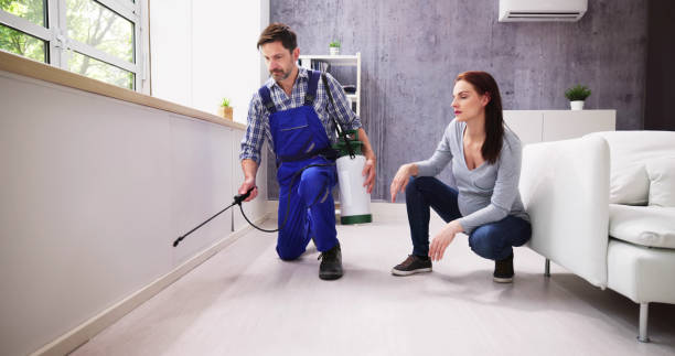 Best Residential Pest Control  in Anthony, NM